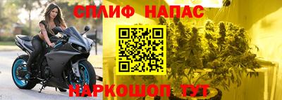 бошки Брянск