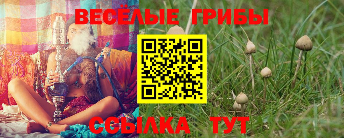 Воткинск  продажа наркотиков  Вход с VPN  Псилоцибиновые грибы прущие грибы 